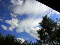 019.webp