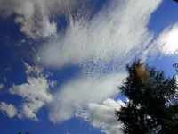 020.webp