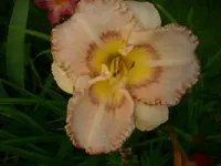 DSCI4424.webp