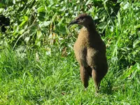 IMG_3097v.jpg