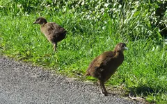 IMG_3081 v (1).webp