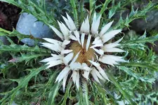 DSCF6997 (2).webp