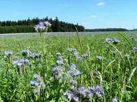 DSCF2627 (2).webp