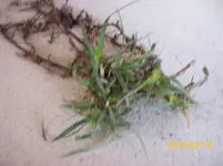100_4814.webp