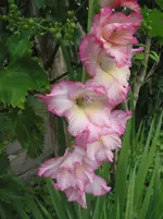 012.webp