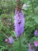 008.webp