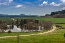 20160410-IMG_1686.jpg