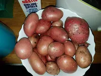 Kartoffeln.jpg