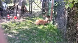 8.9. Fotos 089.jpg