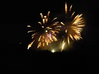 P1010205.webp