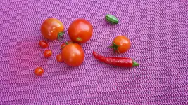 20160731_111607.webp
