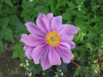 016.webp