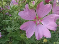 013.webp