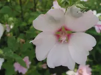 015.webp