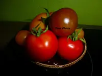 P1040480.webp