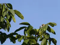 P1220260.webp