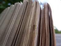 P1220257.webp