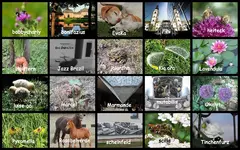 Copy of Juli 2016 Alles was 2 ist.webp