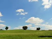 DSCF2616 (2).webp