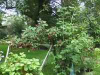 BILD5477.webp
