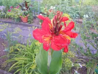 DSCN1730.webp