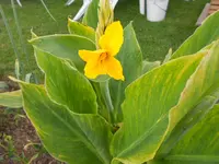 DSCN1731.webp