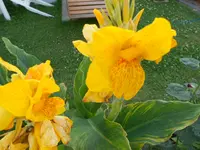 DSCN1734.webp