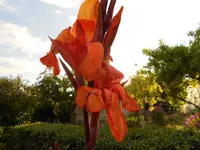 DSCN1739.webp