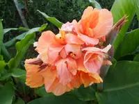 DSCN1740.webp