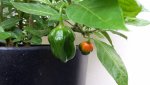 20160730_110541.jpg