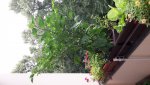 20160730_110344.jpg