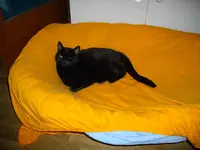 IMGP3081.webp