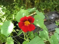 BILD5447.webp