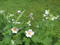 BILD5492.webp