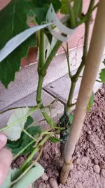 20160802_183730.webp