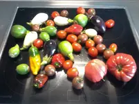 20160803_085507.webp