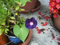 BILD5387.webp