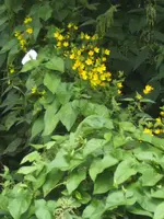 BILD5404.webp