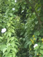 BILD5405.webp