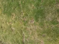 20160803_113417.webp