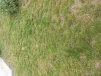 20160803_113424.webp