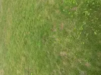 20160803_113434.webp