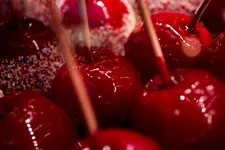 _MG_7114.webp