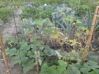 20160803_180852.webp