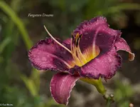 IMG_5386-2.webp