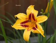 IMG_5396-3.webp