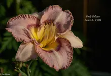 IMG_5496-3.webp