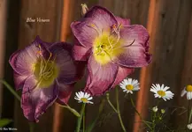 IMG_5498-2.webp