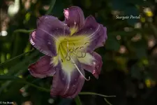 IMG_5509-3.webp