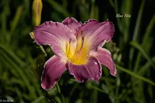 IMG_5526-2.webp